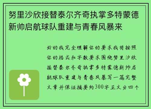 努里沙欣接替泰尔齐奇执掌多特蒙德新帅启航球队重建与青春风暴来